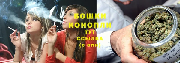 МДПВ Лагань